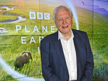 David Attenborough portréfotója a BBC eseményén