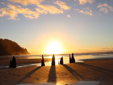 Naplementefotók Neskowinban, Oregonban, a Szellemerdőben