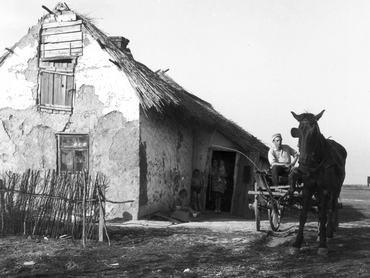 romos vályogház (tanya) előtt egy férfi egylovas kocsit hajt