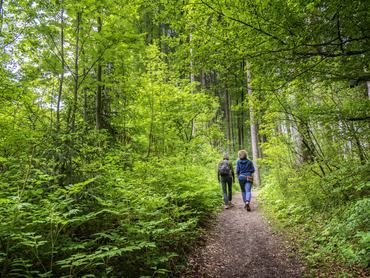 People hiking in springtime near Immenstadt in the woods